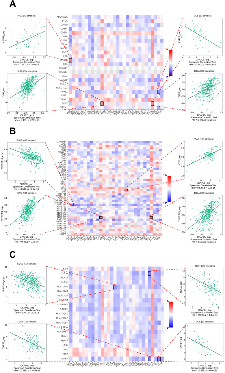 PMC10209194 – Fig11