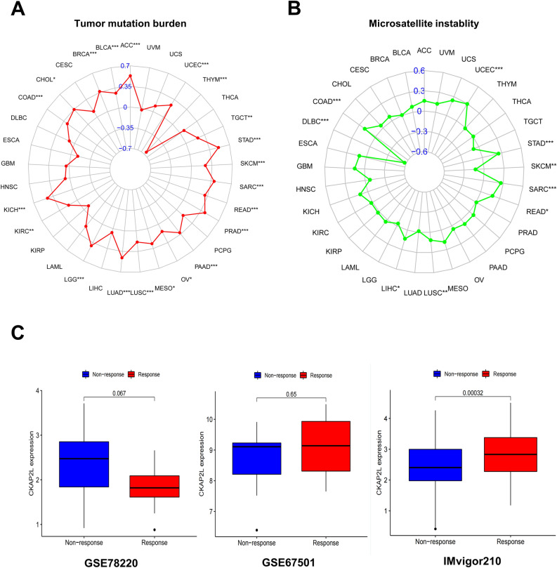 PMC10209194 – Fig12
