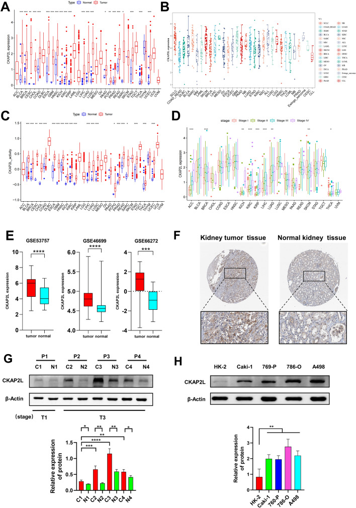 PMC10209194 – Fig1