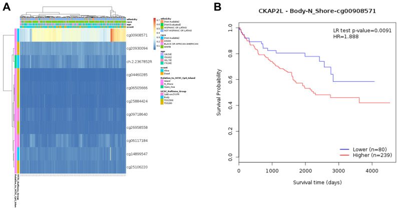 PMC10209194 – Fig2