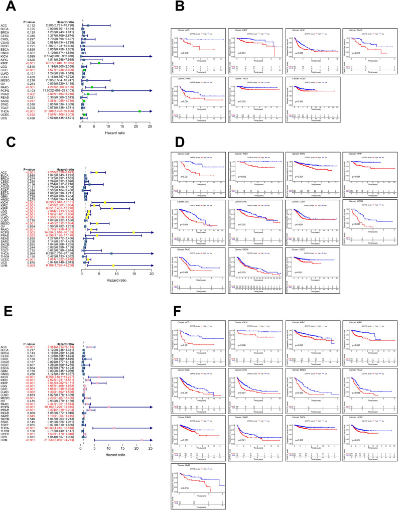 PMC10209194 – Fig4