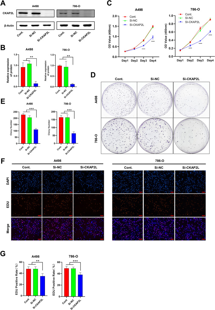 PMC10209194 – Fig5