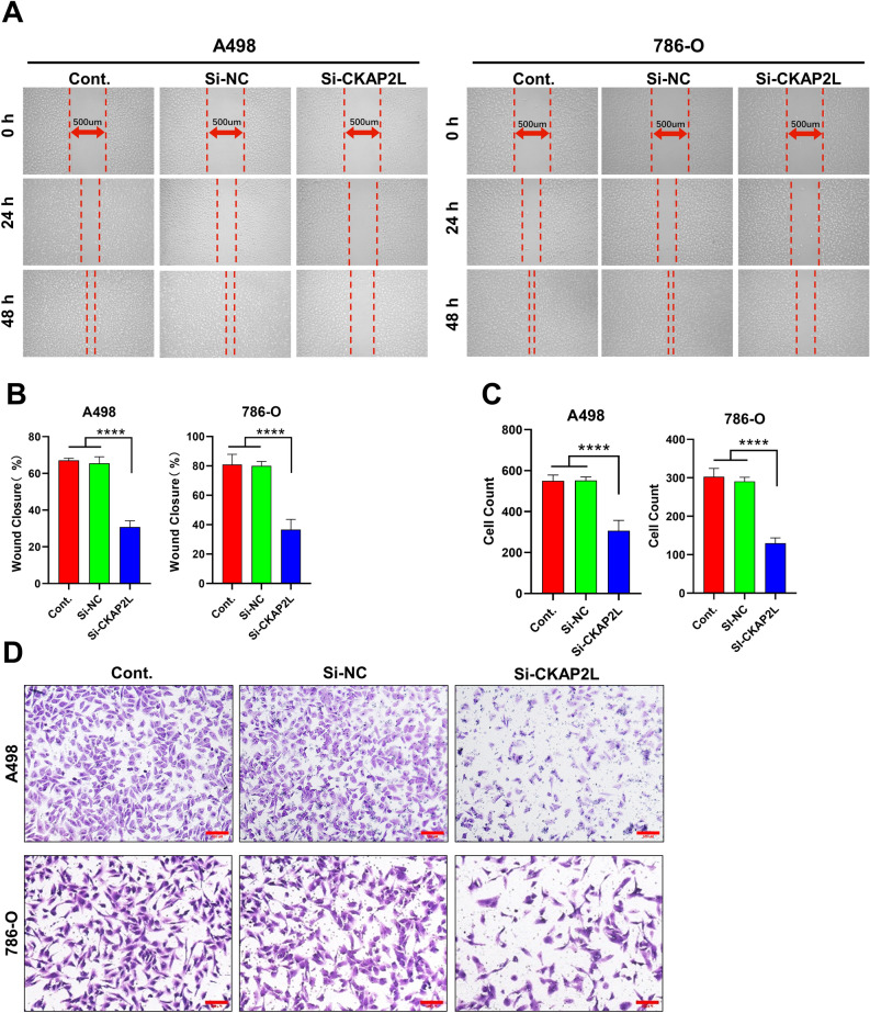 PMC10209194 – Fig6