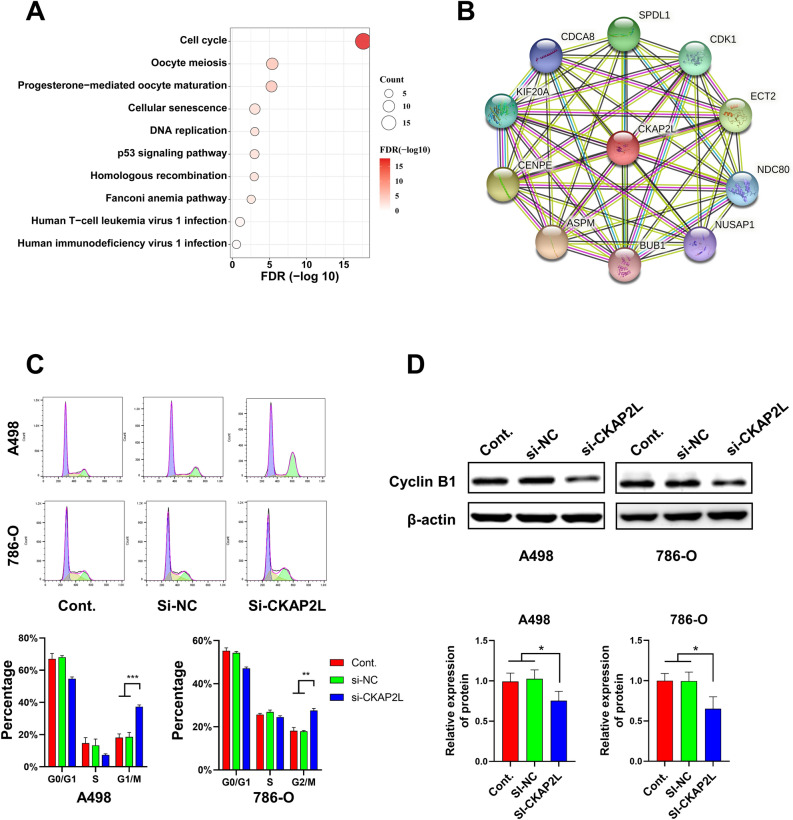 PMC10209194 – Fig7