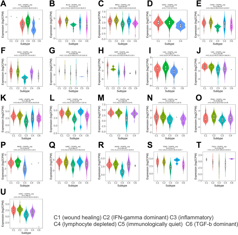 PMC10209194 – Fig8