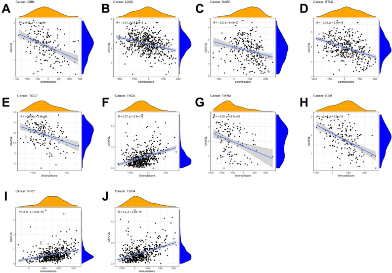 PMC10209194 – Fig9
