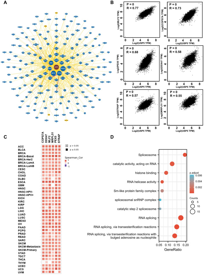 PMC10238416 – Fig12