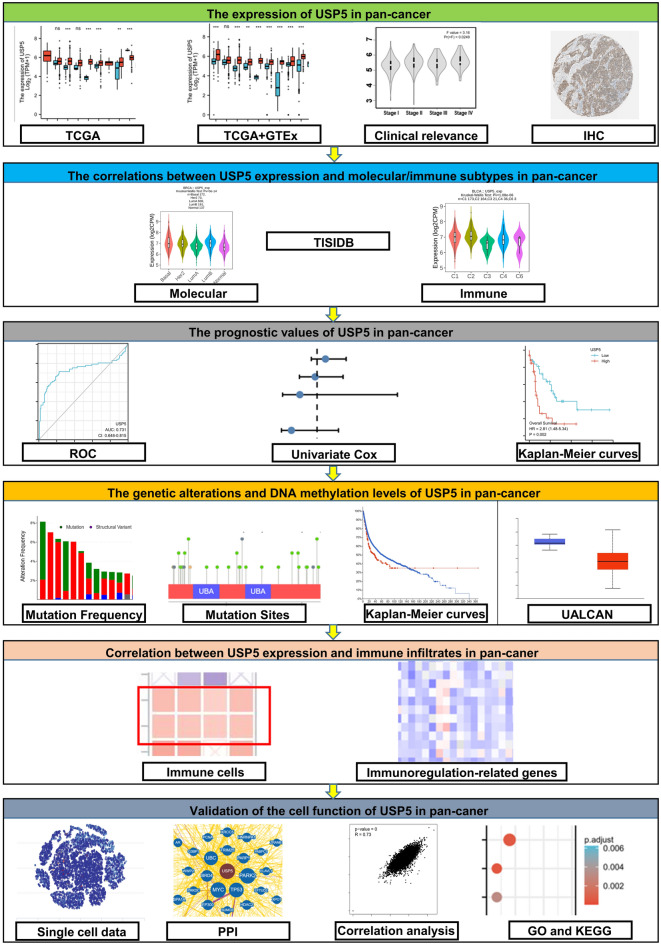 PMC10238416 – Fig1