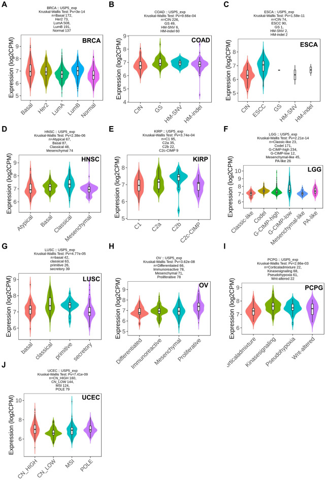 PMC10238416 – Fig4