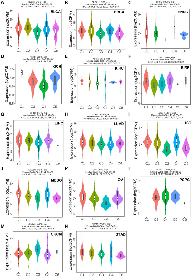 PMC10238416 – Fig5