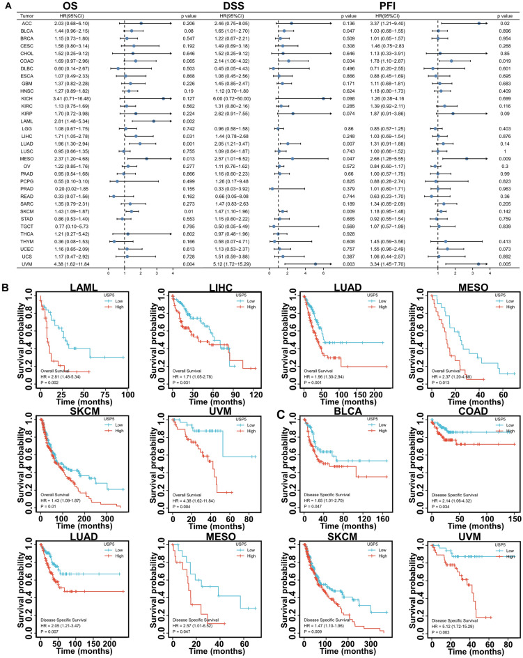 PMC10238416 – Fig7