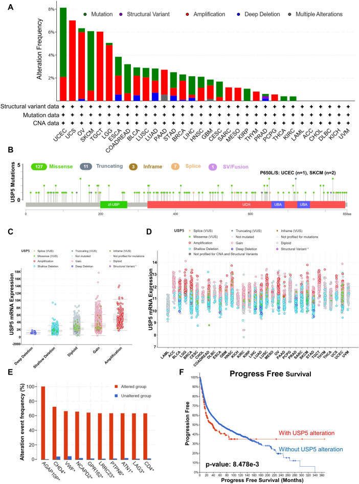 PMC10238416 – Fig8