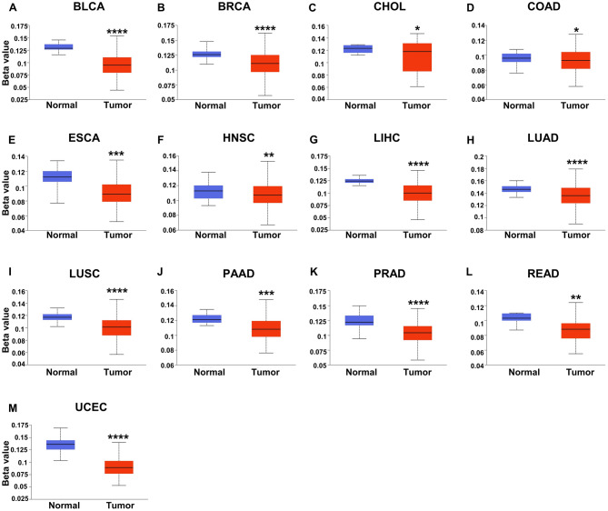 PMC10238416 – Fig9