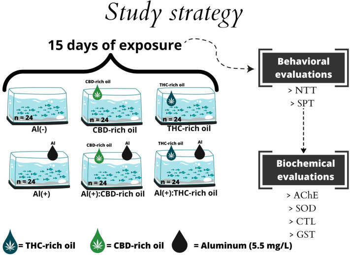 PMC10276866 – Fig8