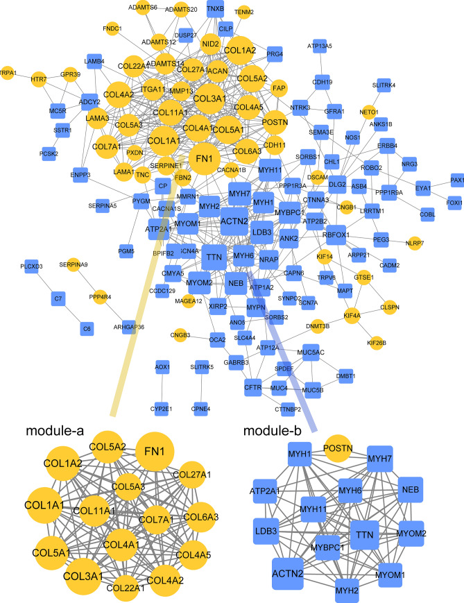 PMC10282046 – Fig3