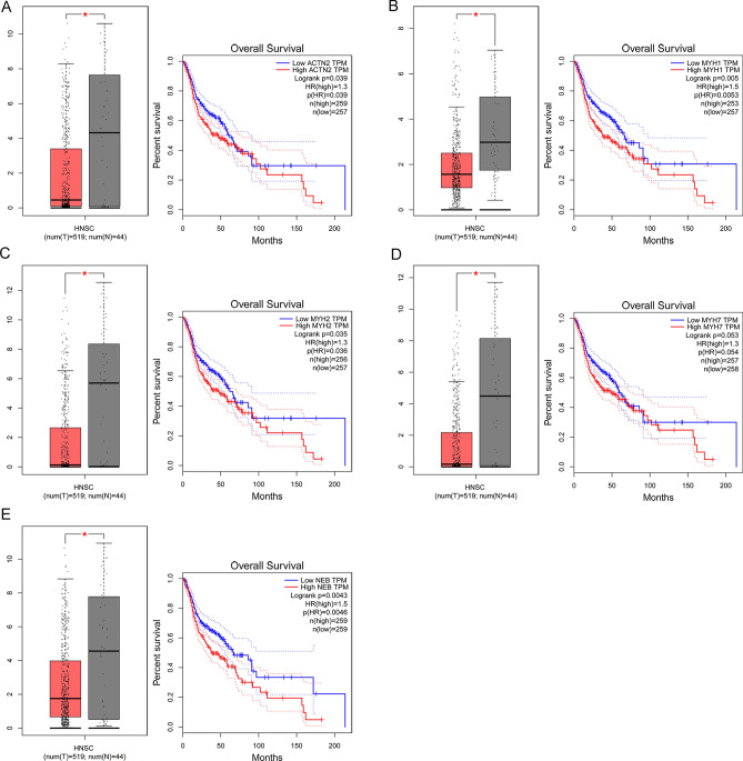 PMC10282046 – Fig5