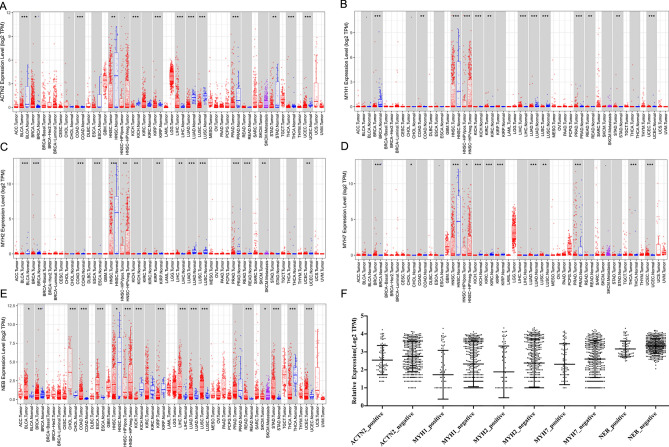 PMC10282046 – Fig6