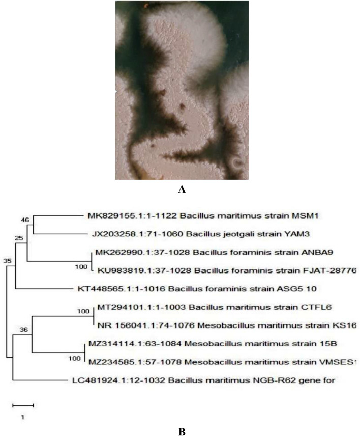 PMC10349148 – Fig1