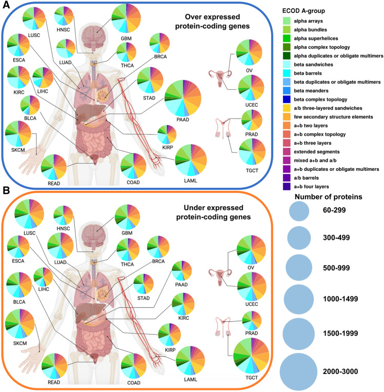 PMC10368619 – Fig3