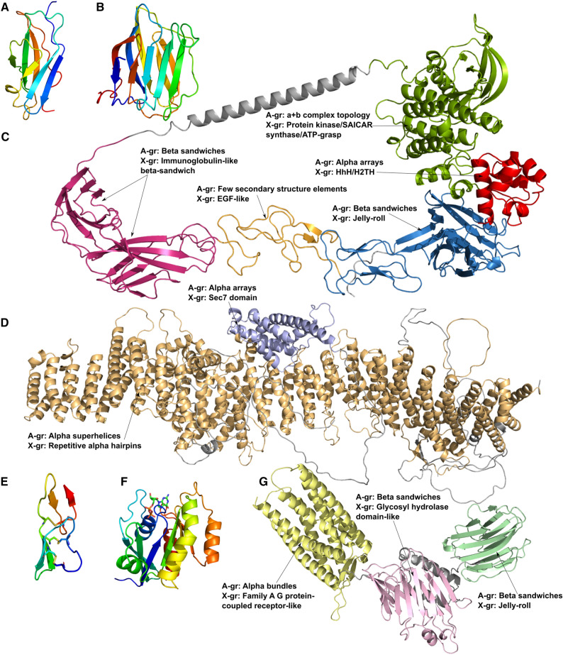 PMC10368619 – Fig7