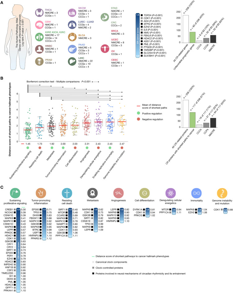 PMC10469199 – Fig4