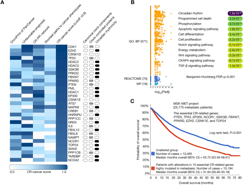 PMC10469199 – Fig5