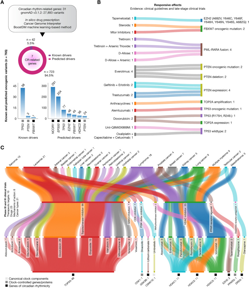 PMC10469199 – Fig6