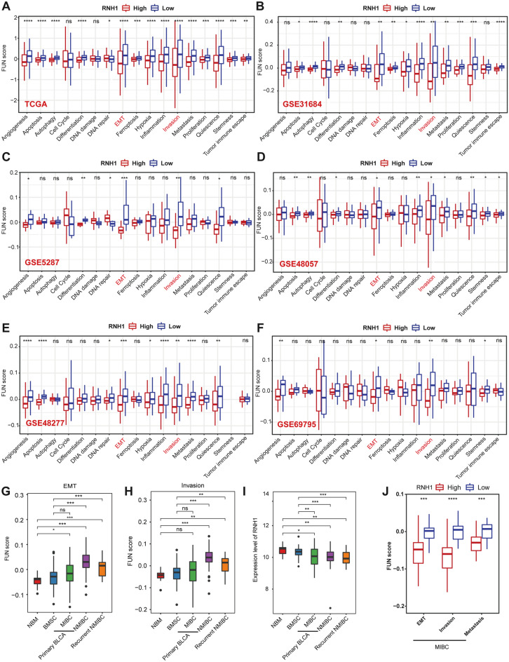 PMC10400633 – Fig2