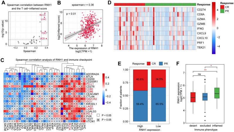 PMC10400633 – Fig6