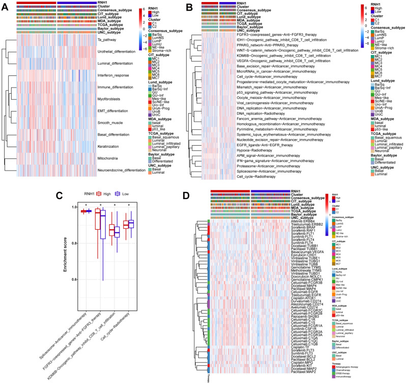 PMC10400633 – Fig7