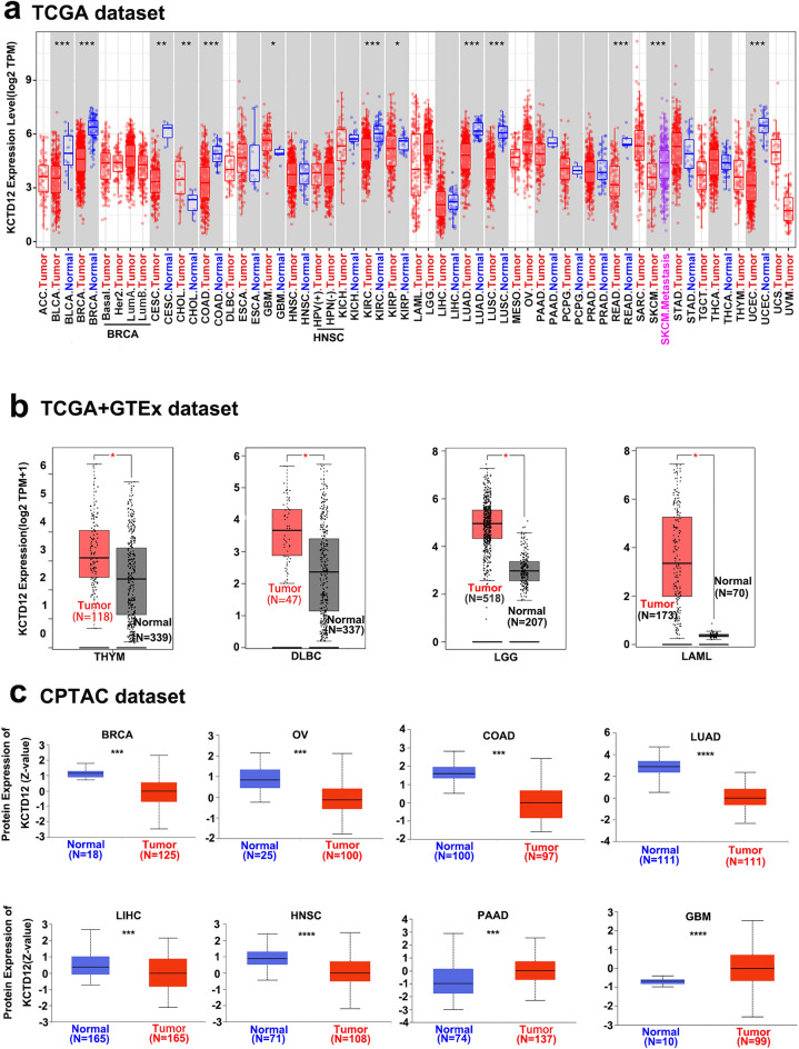 PMC10457314 – Fig1