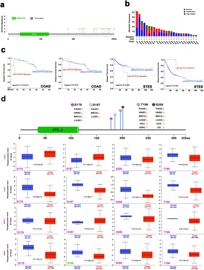 PMC10457314 – Fig3