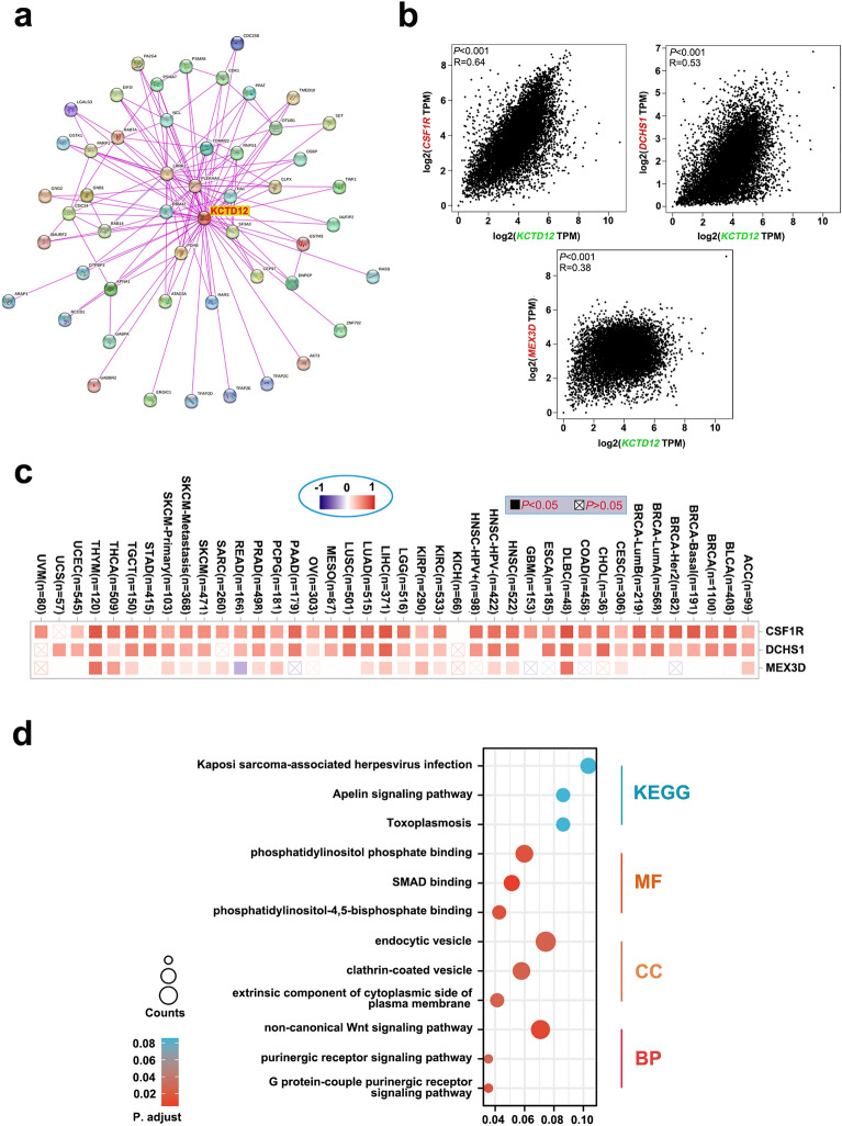 PMC10457314 – Fig7