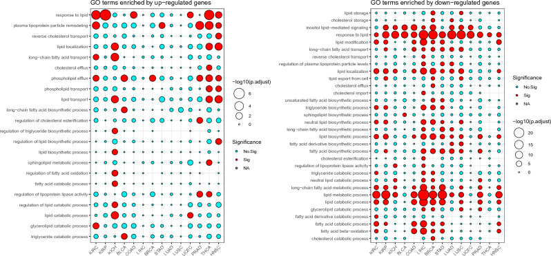 PMC10447541 – Fig1