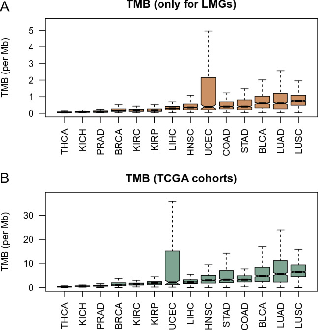 PMC10447541 – Fig6