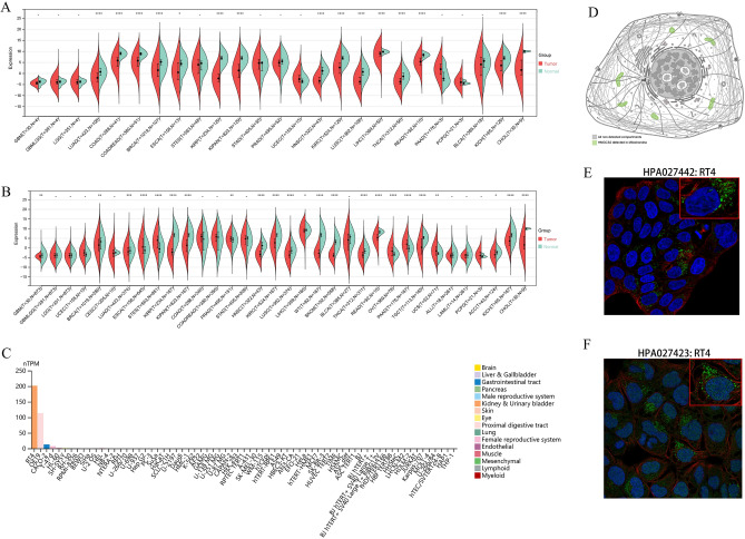 PMC10480187 – Fig1