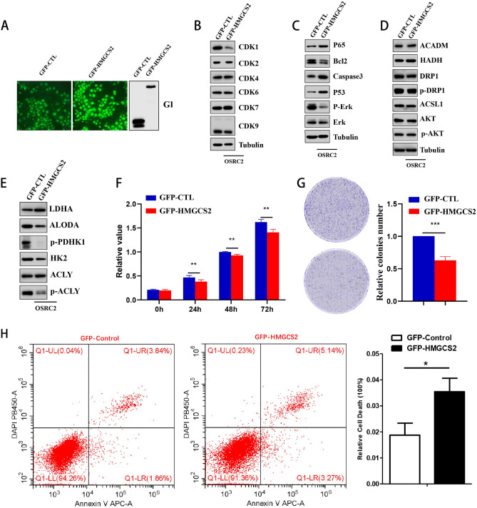 PMC10480187 – Fig7