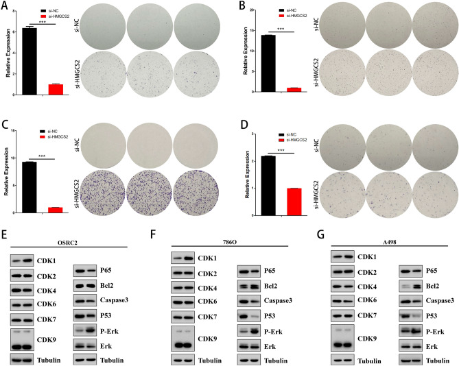 PMC10480187 – Fig8