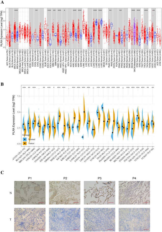 PMC10471747 – Fig1