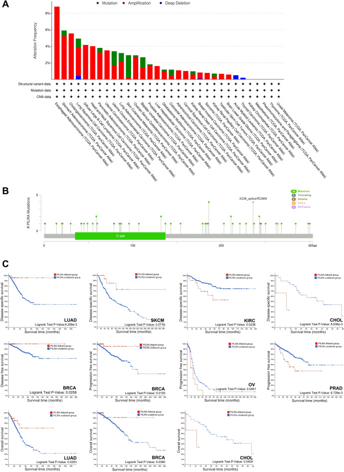 PMC10471747 – Fig4