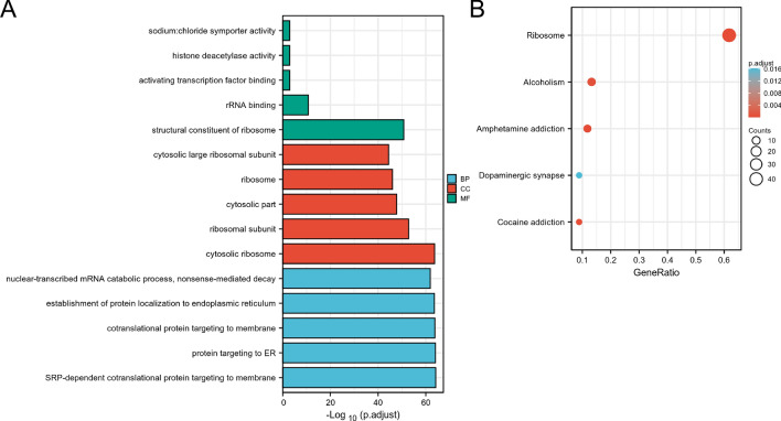 PMC10533500 – Fig10