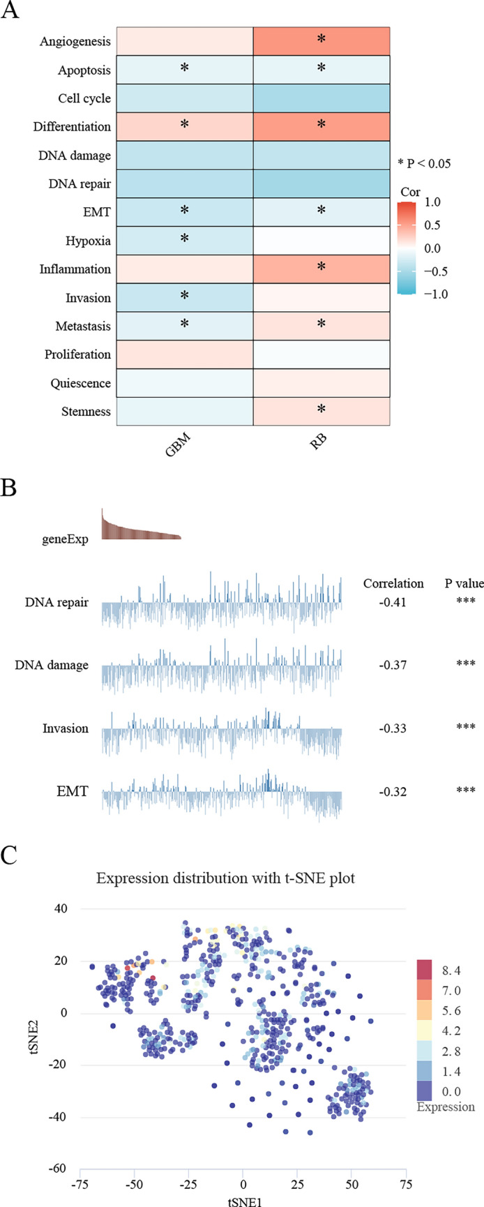 PMC10533500 – Fig11
