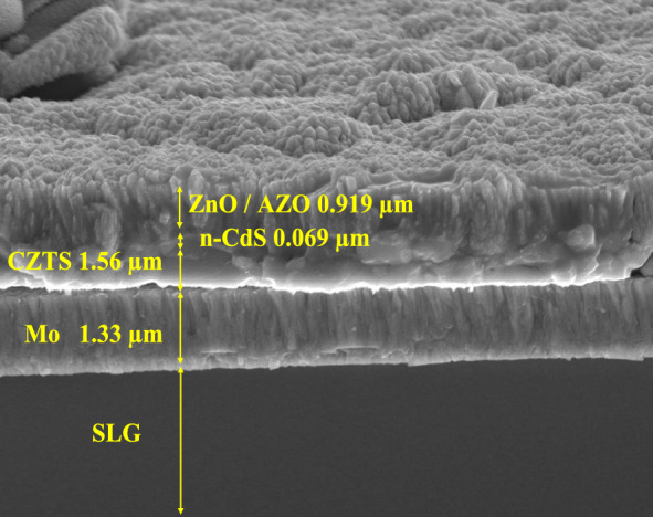 PMC10507019 – Fig12