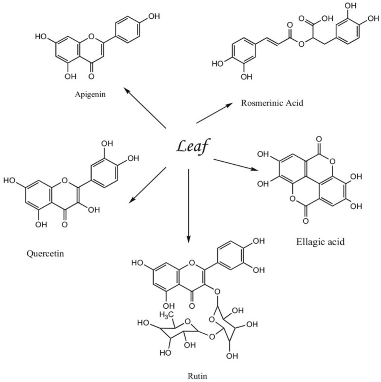 PMC10507019 – Fig1