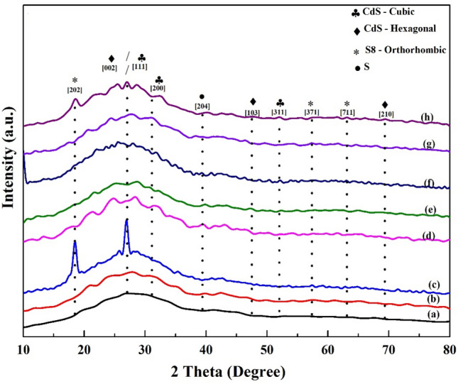 PMC10507019 – Fig7
