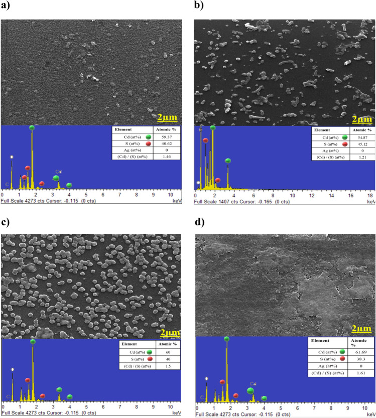 PMC10507019 – Fig9