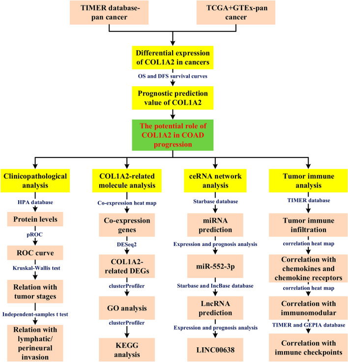 PMC10560230 – Fig1