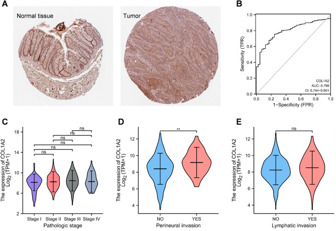 PMC10560230 – Fig5