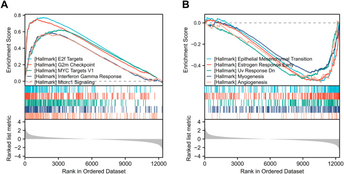 PMC10560230 – Fig7