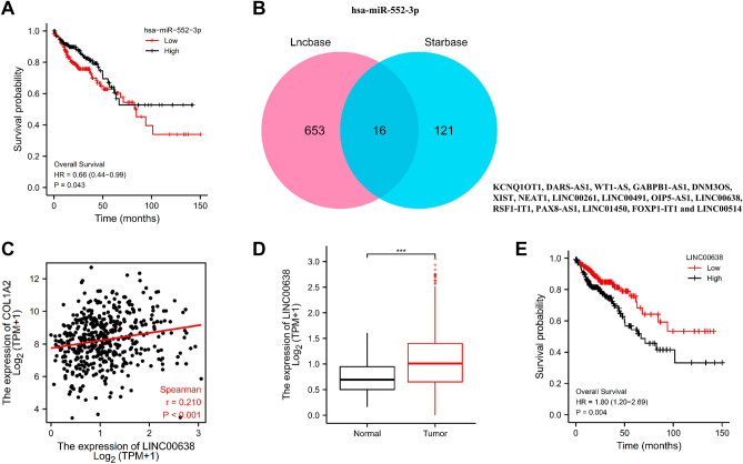 PMC10560230 – Fig8